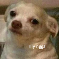 Bootydoge