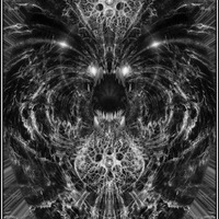 Observer