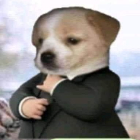 AvispaCulona69