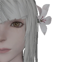 kayehox