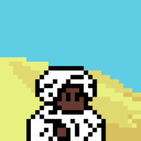 Sahara wanderer with a bag of salt
