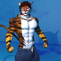 StripesWaterkat