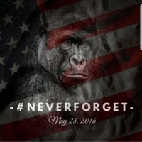 HarambaesSpirit
