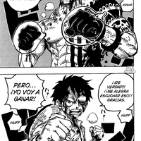 mauchis66666