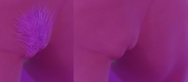 Ayane Senran Kagura Cosplay Dead Or Alive Ayane 3d Girl 3d Porn Cosplay Nude Pussy Armpits Hairy Pussy Glasses Sexy 3