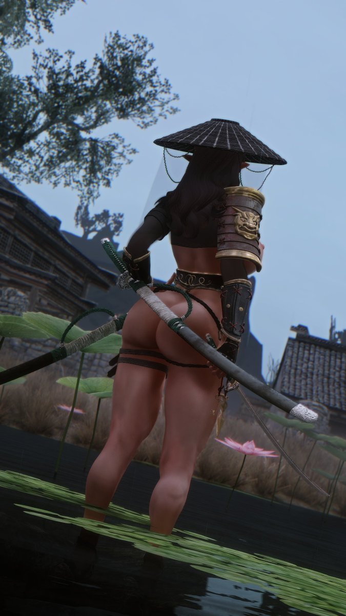 Akavir Ronin Stranger s Land Skyarsenic Pixiv Skyrim Ronin Nsfw 4