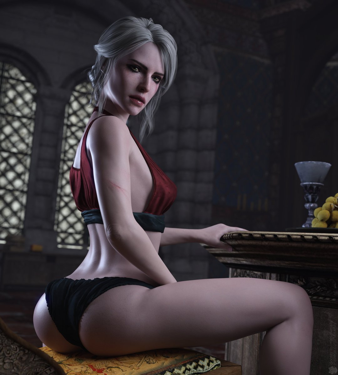 Cirilla The Witcher  Art 2
