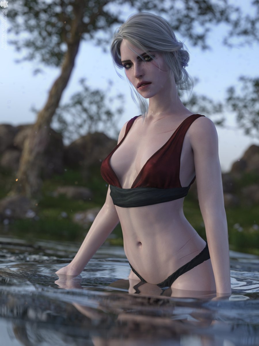 Cirilla The Witcher  Art