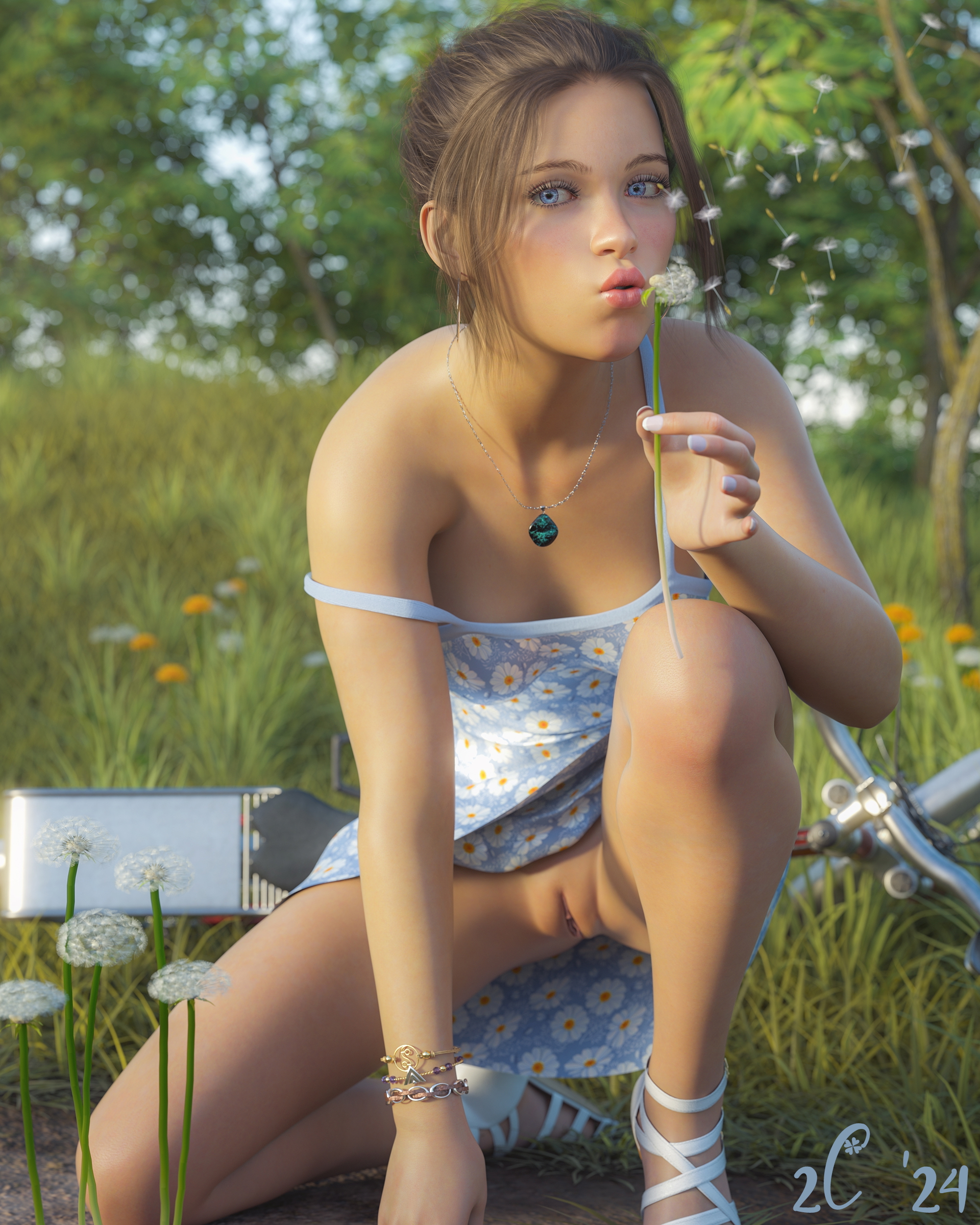 Dandelions  Pinup