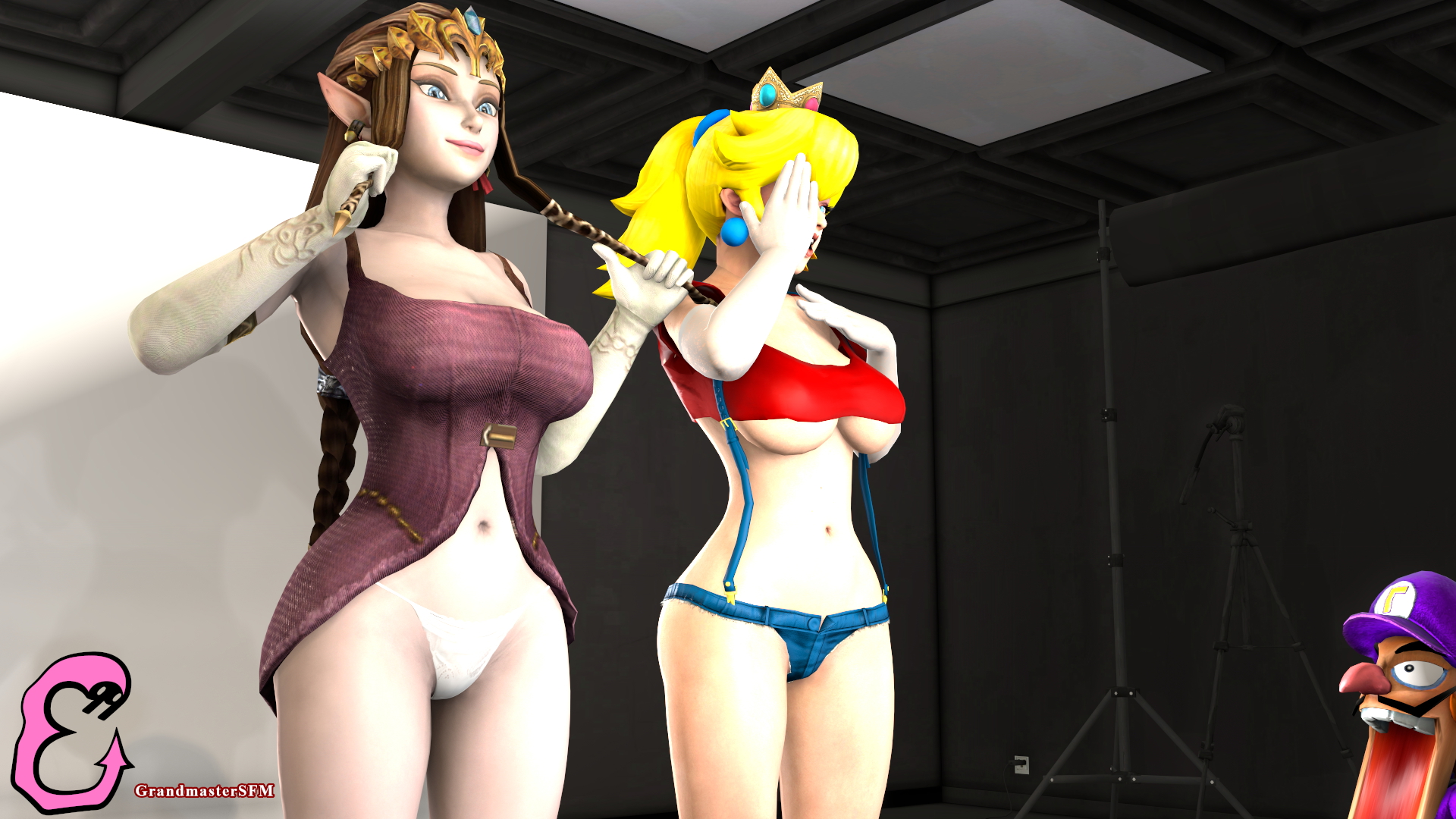 Zelda and Peach Zelda Legend Of Zelda The Legend Of Zelda Princess Zelda Princess Peach Mario Super Mario Source Filmmaker Sfm 6