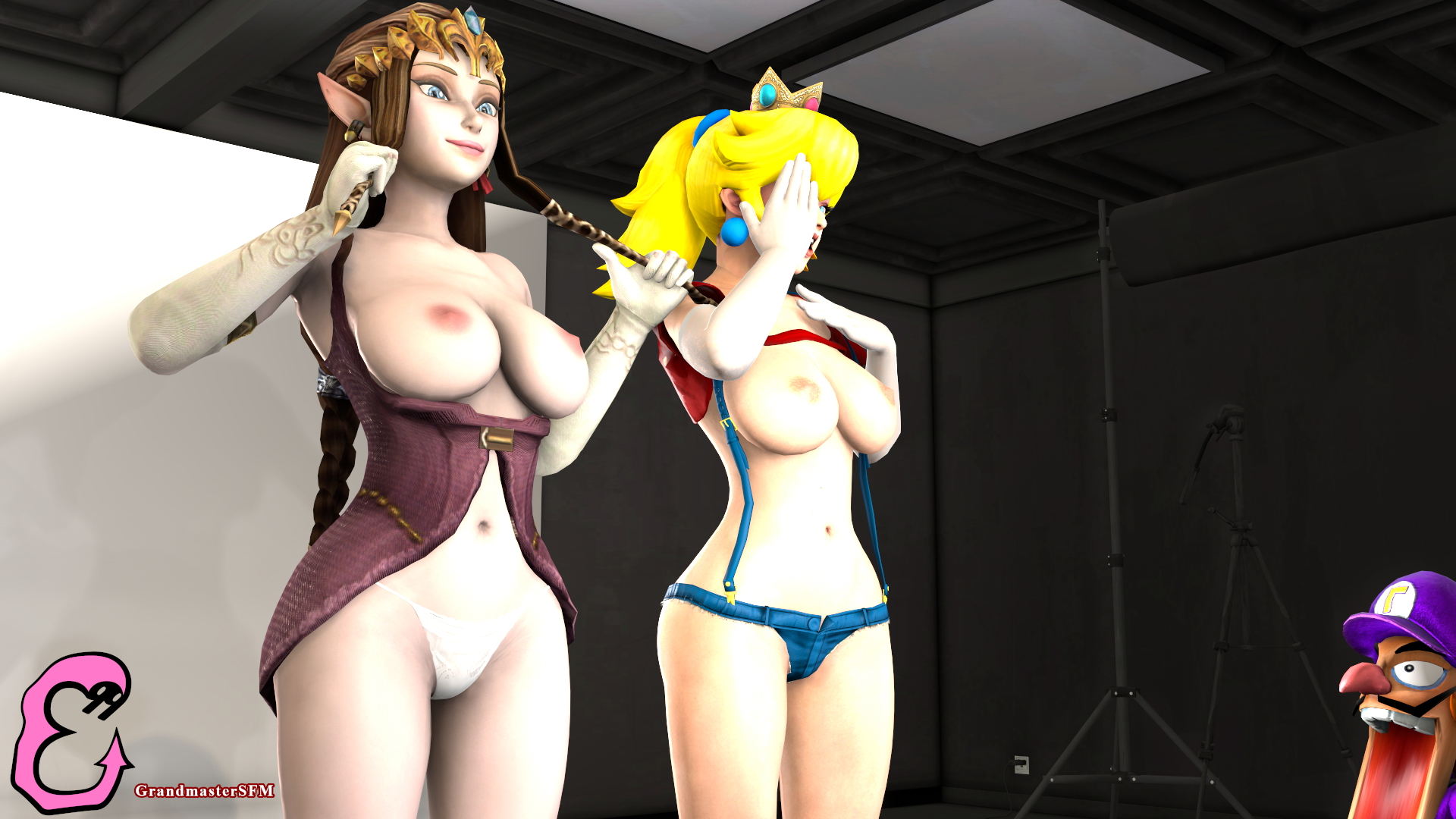 Zelda and Peach Zelda Legend Of Zelda The Legend Of Zelda Princess Zelda Princess Peach Mario Super Mario Source Filmmaker Sfm 7