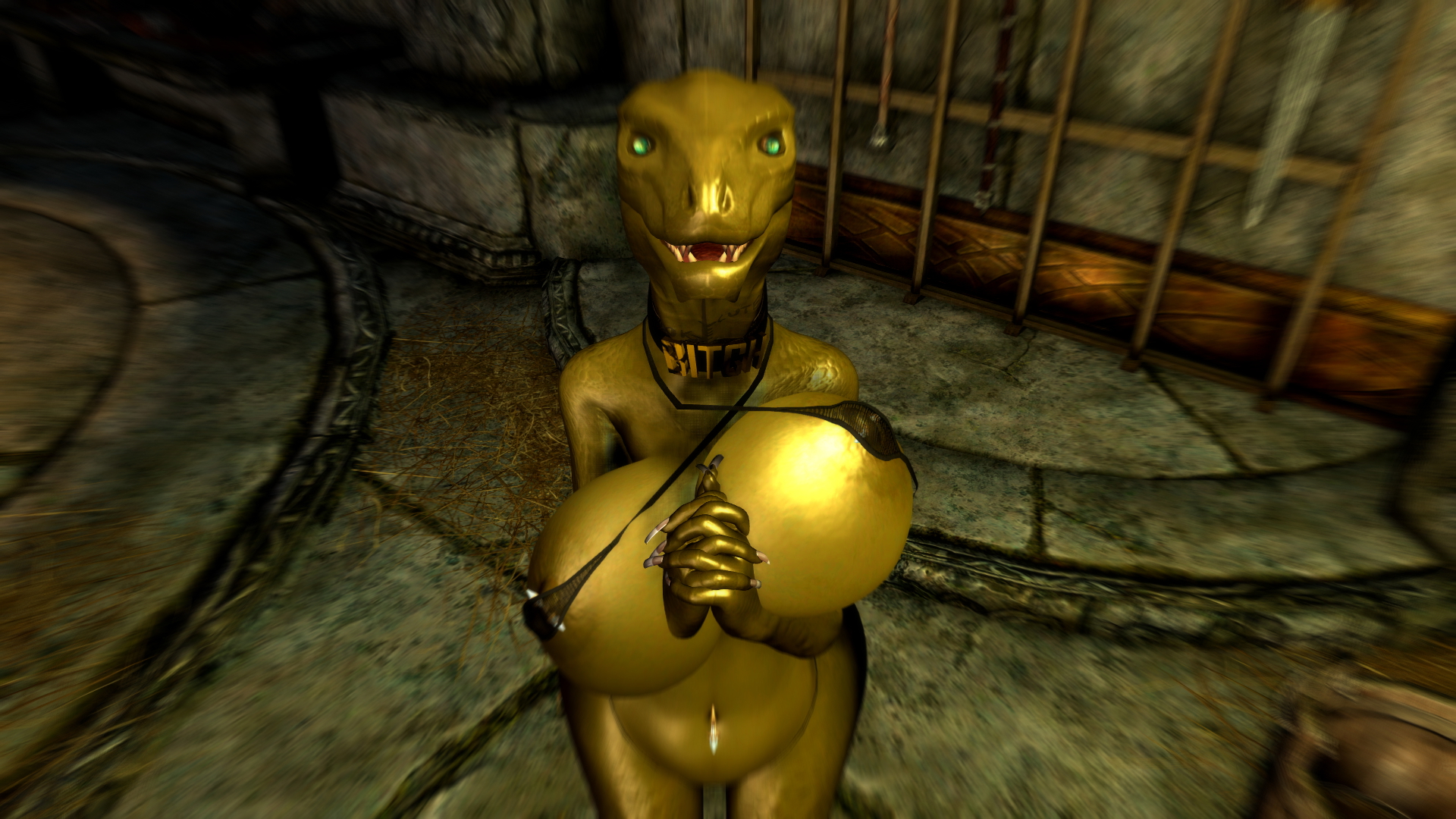 TES Skyrim #2 Skyrim Big Ass Big Tits Argonian Furry Bimbo 9