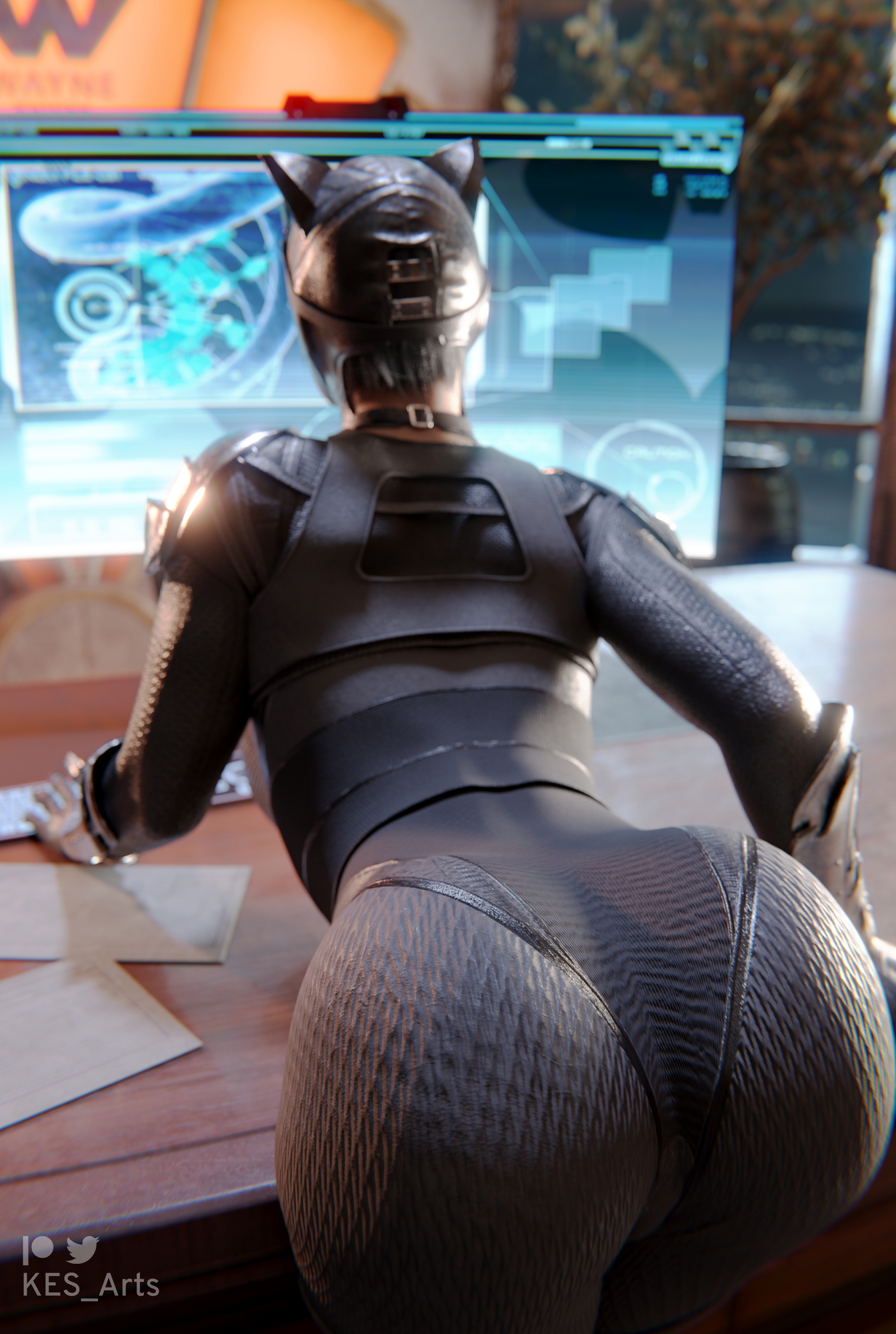 Nasty hecker Catwoman Harley Quinn Dc Comics Boobs Natural Boobs Latex Catwoman Cat Girl Ass Big Ass