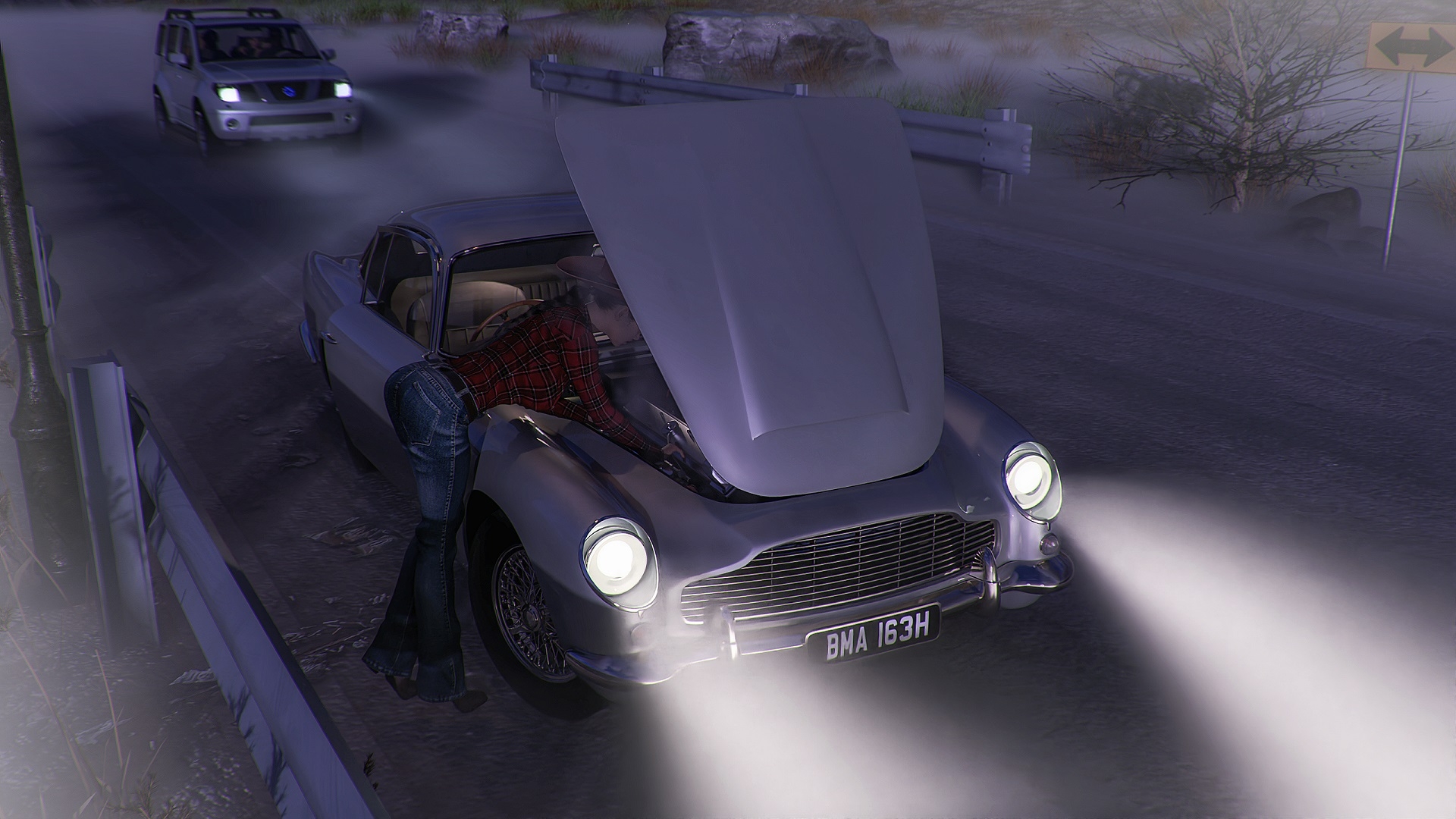 HELP ON THE ROAD  3d Girl