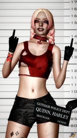 Dc Girls - Pose 01 Harley Queen Black Canary Cheetah Joker (dc) Starfire Selina Kyle Catwoman
