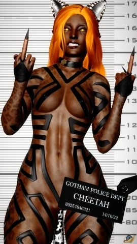 Dc Girls - Pose 01 Harley Queen Black Canary Cheetah Joker (dc) Starfire Selina Kyle Catwoman 3