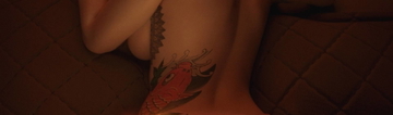 cover photo