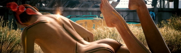 cover photo